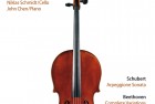 „The Singing Cello“ Niklas Schmidt / FCI